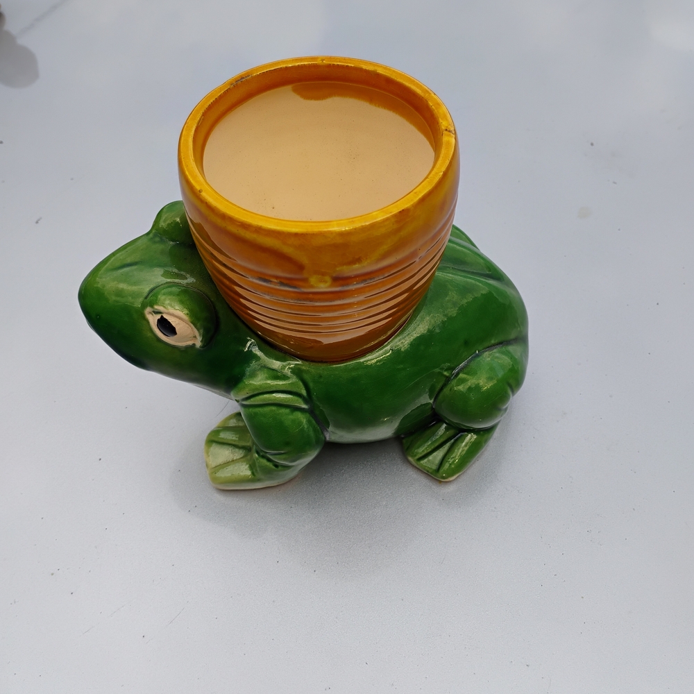 Green and Orange Ceramic Animal Planter